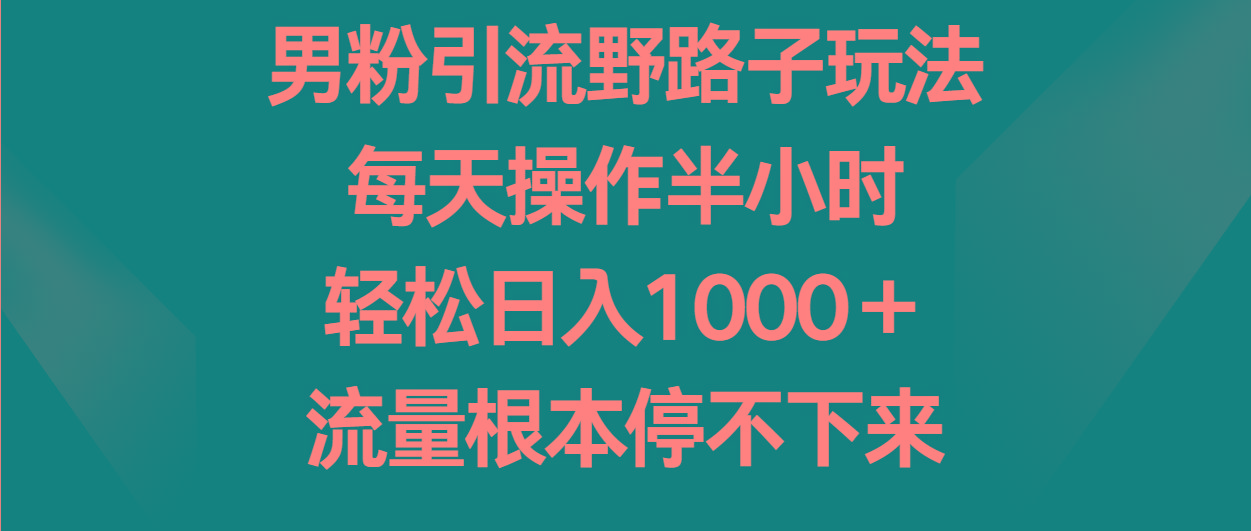 男粉引流野路子玩法,每天操作半小时轻松日入1000+,流量根本停不下来-吾爱云课堂