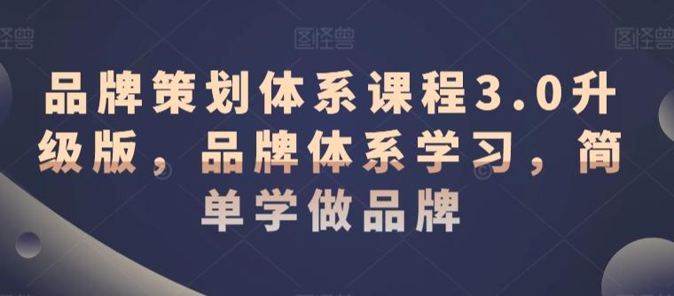 品牌策划体系课程3.0升级版,品牌体系学习,简单学做品牌-吾爱云课堂