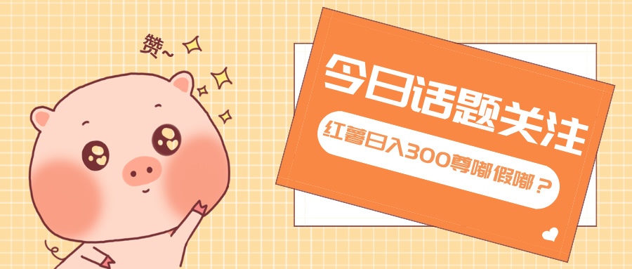 全新红薯浏览,打破常规 双端操作,每天运行6小时,让你获得工作以外的...-吾爱云课堂