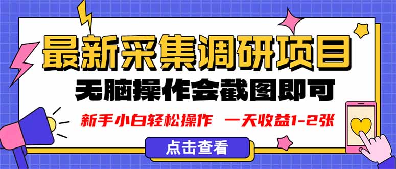 新版采集调研项目,截图上传即可,无脑操作,日收益1-2张-吾爱云课堂