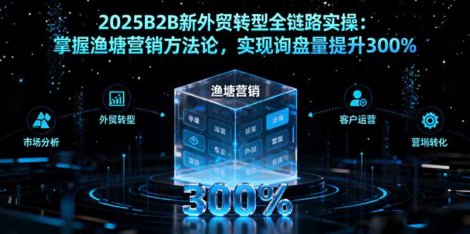 2025B2B新外贸转型全链路实操:掌握渔塘营销方法论,实现询盘量提升300%-吾爱云课堂