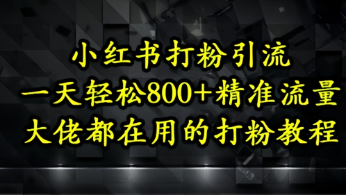 小红书打粉引流,一天轻松500+精准流量,大佬都在用的打粉教程-吾爱云课堂
