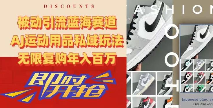 被动引流蓝海赛道,AJ运动用品私域玩法,无限复购年入百万【揭秘】-吾爱云课堂