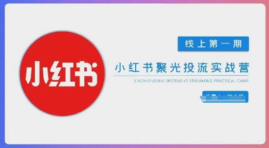 小红书聚光陪跑第一期,教你从0到1玩转小红书聚光投流,搭建小红书付费投流团队,更快的见到效果-吾爱云课堂