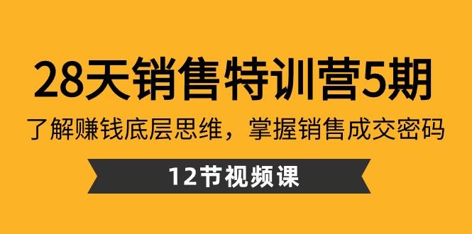 28天销售特训营5期:了解赚钱底层思维,掌握销售成交密码(12节课)-吾爱云课堂