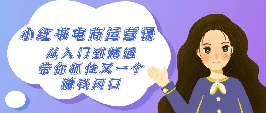 2024小红书电商运营课,从入门到精通,带你抓住又一个赚钱风口(50节课)-吾爱云课堂