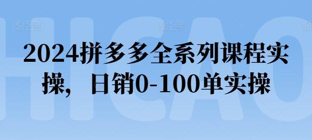 2024拼多多全系列课程实操，日销0-100单实操【必看】-吾爱云课堂