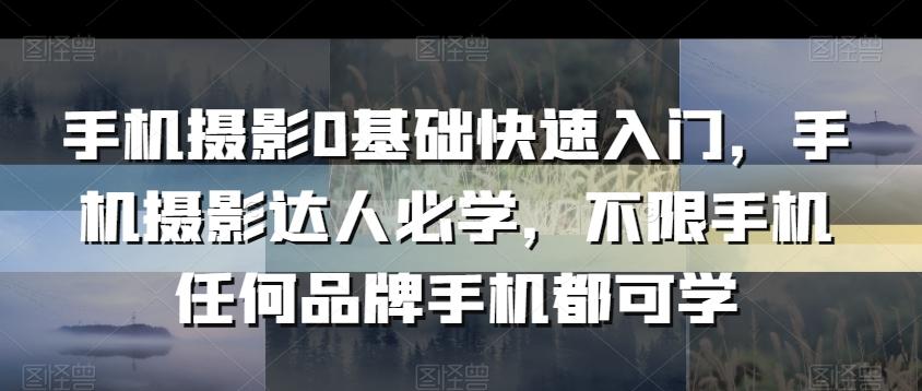 手机摄影0基础快速入门,手机摄影达人必学,不限手机任何品牌手机都可学-吾爱云课堂