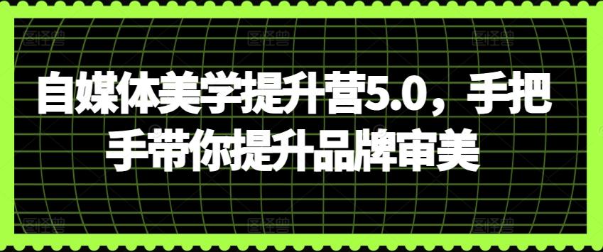 自媒体美学提升营5.0,手把手带你提升品牌审美-吾爱云课堂