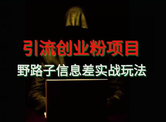 【引流创业粉】野路子信息差玩法实战教学-吾爱云课堂