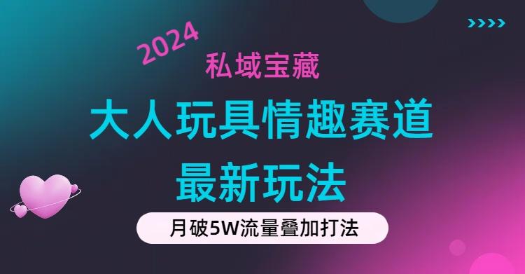 私域宝藏:大人玩具情趣赛道合规新玩法,零投入,私域超高流量成单率高-吾爱云课堂