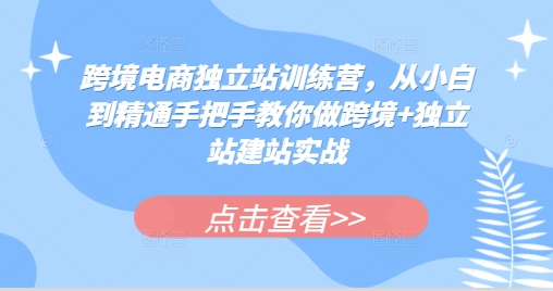跨境电商独立站训练营,从小白到精通手把手教你做跨境+独立站建站实战-吾爱云课堂