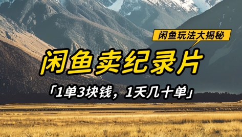 闲鱼卖纪录片1单3块钱,1天几十单,项目稳定有潜力-吾爱云课堂