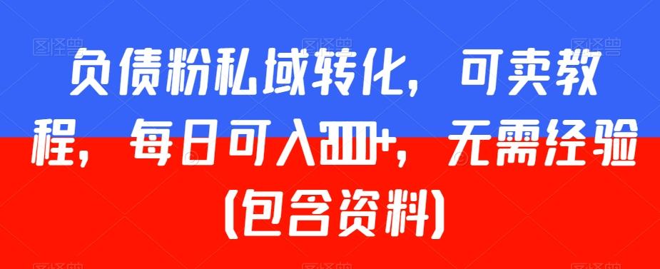 负债粉私域转化,可卖教程,每日可入2000+,无需经验(包含资料)【揭秘】-吾爱云课堂