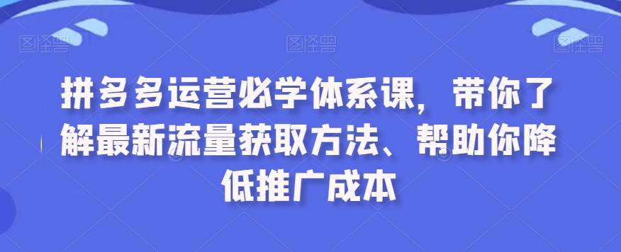 拼多多运营必学体系课,带你了解最新流量获取方法、帮助你降低推广成本-吾爱云课堂