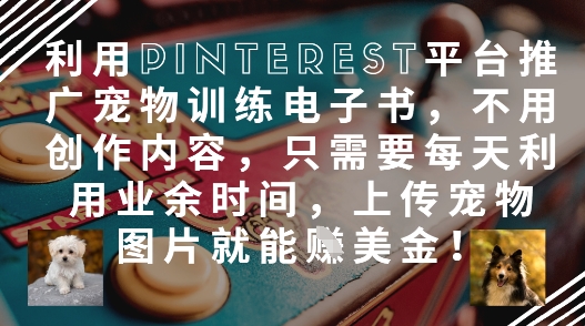 利用Pinterest平台推广宠物训练电子书,不用创作内容,只需要每天利用业余时间,上传宠物图片就能挣美金!-吾爱云课堂