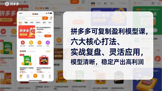 拼多多可复制盈利模型课，六大核心打法、实战复盘、灵活应用，模型清晰，稳定产出高利润-吾爱云课堂