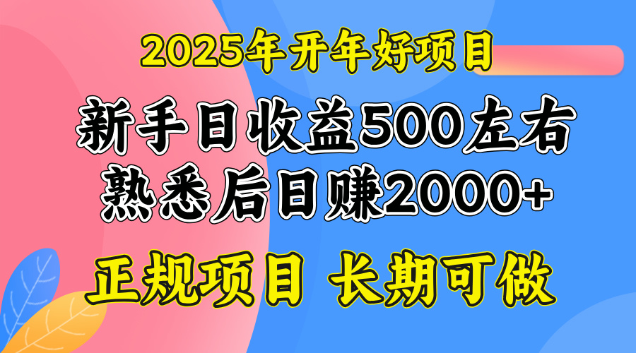 2025开年好项目,单号日收益2000左右-吾爱云课堂