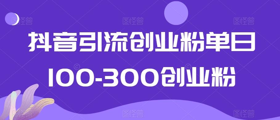 抖音引流创业粉单日100-300创业粉【揭秘】-吾爱云课堂