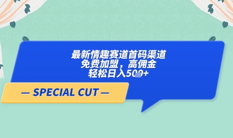 【轻云】最新情趣赛道首码渠道，免费加盟，高佣金，轻松日入5张+-吾爱云课堂