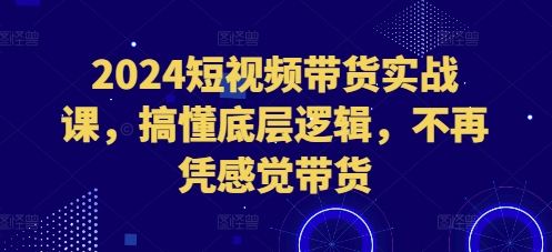 2024短视频带货实战课,搞懂底层逻辑,不再凭感觉带货-吾爱云课堂
