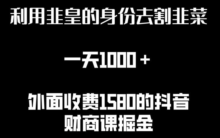 利用非皇的身份去割韭菜,一天1000+(附详细资源)【揭秘】-吾爱云课堂