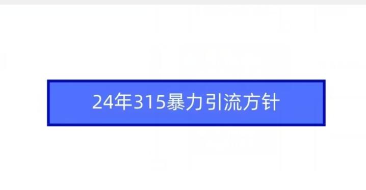 24年315暴力引流方针-吾爱云课堂