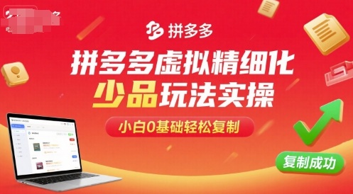 拼多多虚拟精细化少品玩法实操,小白0基础轻松复制-吾爱云课堂