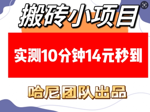 搬砖小项目,实测10分钟14元秒到,每天稳定几张(赠送必看稳定)-吾爱云课堂
