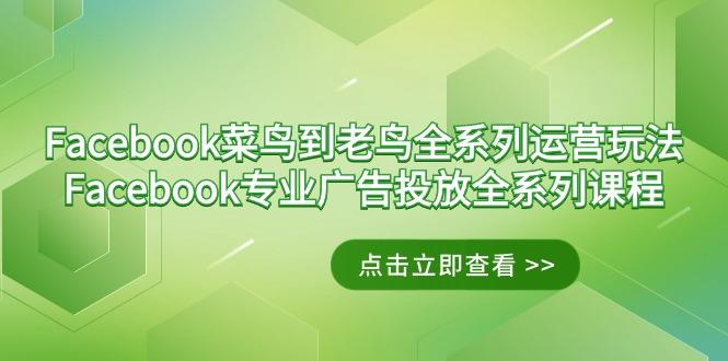 Facebook-菜鸟到老鸟全系列运营玩法+Facebook-专业广告投放全系列课程-吾爱云课堂