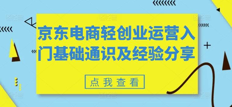 京东电商轻创业运营入门基础通识及经验分享-吾爱云课堂