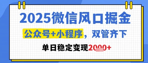 2025微信风口掘金,公众号+小程序双管齐下,单日稳定变现1k+【揭秘】-吾爱云课堂