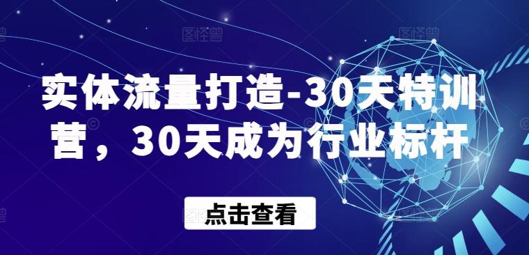 实体流量打造-30天特训营,30天成为行业标杆-吾爱云课堂