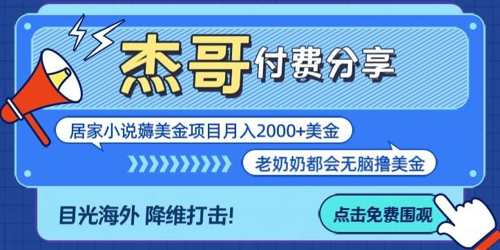 拆解海外撸美金项目月入2000美刀详细指导-吾爱云课堂