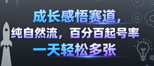 成长感悟赛道,纯自然流,百分百起号率 一天轻松多张-吾爱云课堂