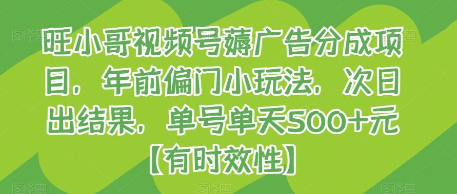 旺小哥视频号薅广告分成项目,年前偏门小玩法,次日出结果,单号单天500+元【有时效性】-吾爱云课堂