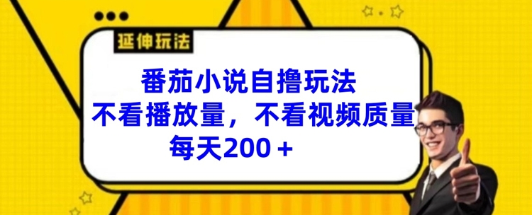 番茄小说自撸玩法,不看播放量,不看视频质量,每天200+【揭秘】-吾爱云课堂