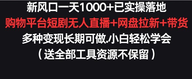 新风口一天1000+已实操落地购物平台短剧无人直播+网盘拉新+带货多种变现长期可做【揭秘】-吾爱云课堂