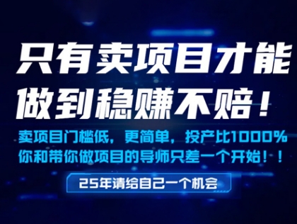 只有卖项目才能做到稳挣不赔,门槛低,更简单,你也可以年入百个W【揭秘】-吾爱云课堂