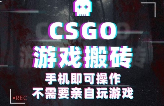 CSGO游戏挂G捡漏,单日扫货5张+,年底小高峰上车可吃肉,手机即可操作,兼职副业创业网创【揭秘】-吾爱云课堂