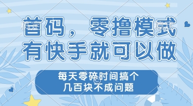 首码零撸项目,有快手就可以做,每天业务时间搞个几张不是问题【揭秘】-吾爱云课堂