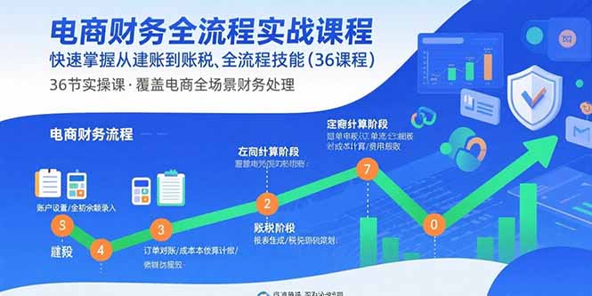 电商财务全流程实战课程:快速掌握从建账到报税的全流程技能(36节课-吾爱云课堂