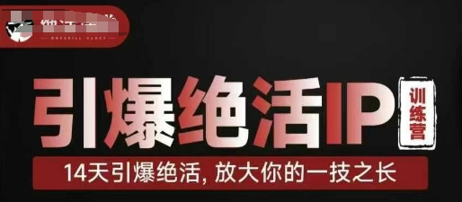 引爆绝活IP训练营,14天引爆绝活,放大你的一技之长-吾爱云课堂