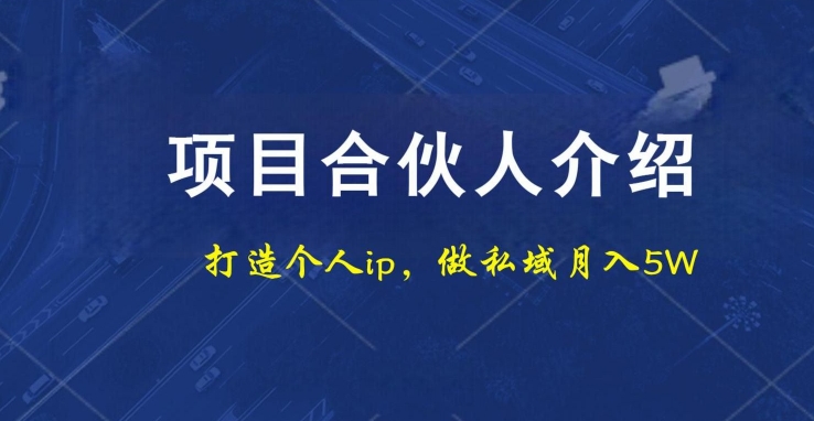 项目合伙人项目,打造个人IP,做私域月入5W,小白勿扰-吾爱云课堂