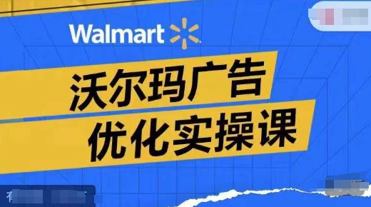 沃尔玛广告优化实操课,广告报告实操讲解,广告如何提高转化和ROAS等-吾爱云课堂