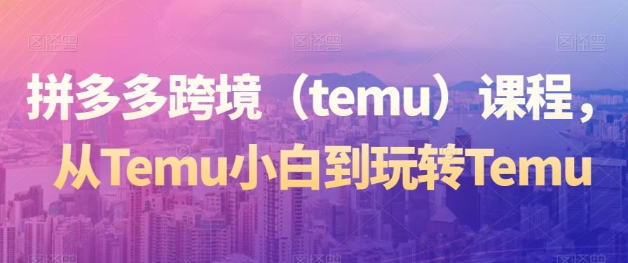 拼多多跨境(temu)课程,从Temu小白到玩转Temu-吾爱云课堂