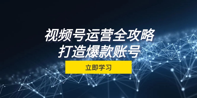 视频号运营全攻略,从定位到成交一站式学习,视频号核心秘诀,打造爆款...-吾爱云课堂