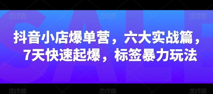 抖音小店爆单营，六大实战篇，7天快速起爆，标签暴力玩法-吾爱云课堂