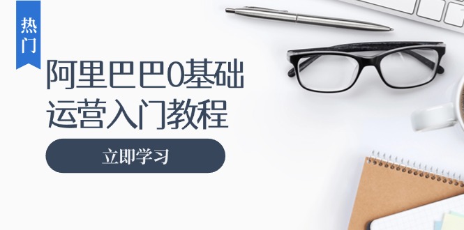 阿里巴巴运营零基础入门教程:涵盖开店、运营、推广,快速成为电商高手-吾爱云课堂