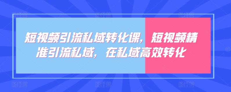 短视频引流私域转化课,短视频精准引流私域,在私域高效转化-吾爱云课堂